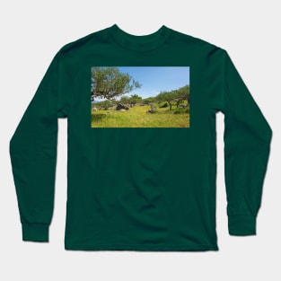 Landscape Near Nerezisca, Brac Island, Croatia Long Sleeve T-Shirt